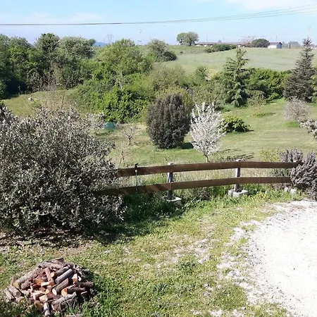 Apartment Grazioso In